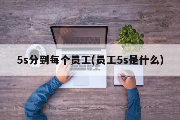 5s分到每个员工(员工5s是什么)