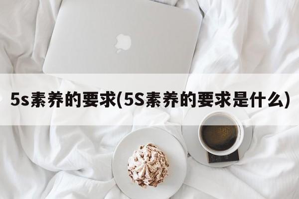 5s素养的要求(5S素养的要求是什么)